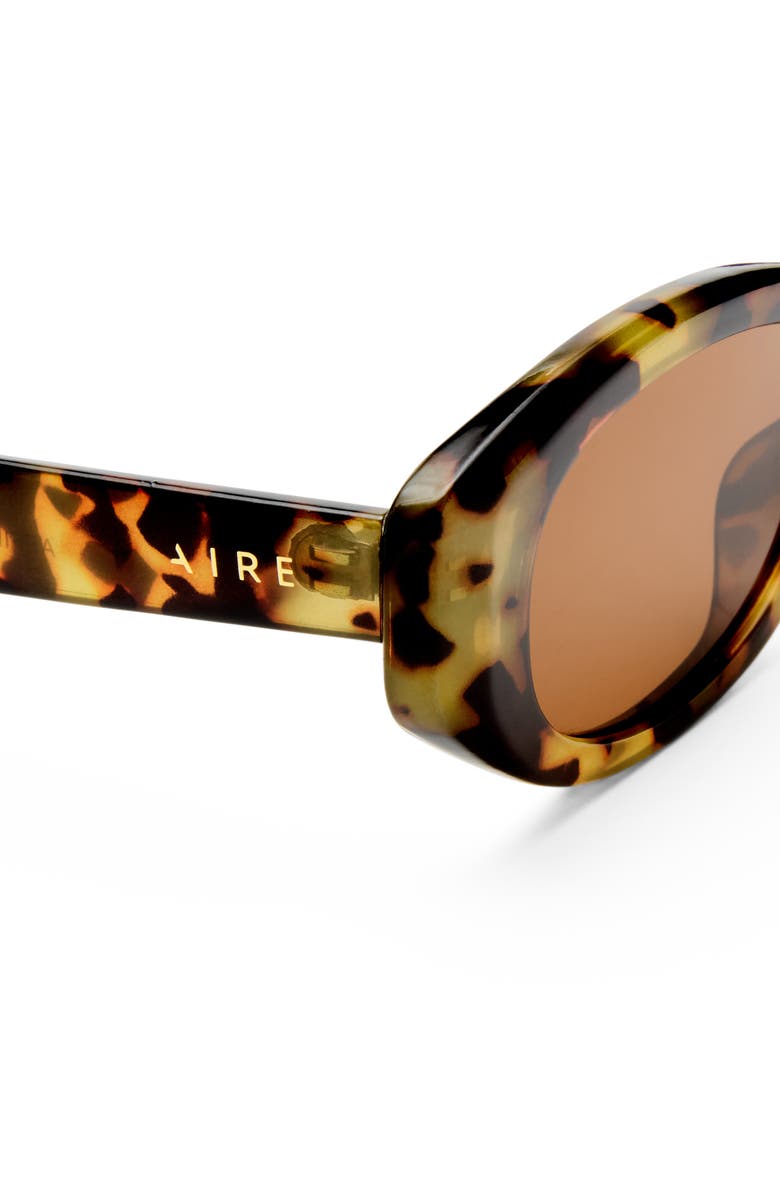AIRE Affinity 52mm Oval Sunglasses, Alternate, color, Mottled Tort / Brown Mono
