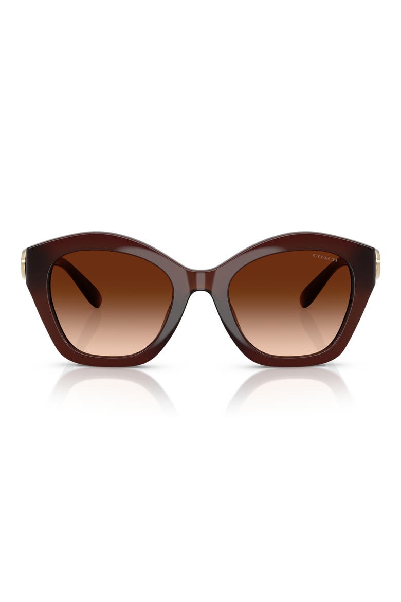 57mm Irregular Round Sunglasses, Main, color, MILKY HAZELNUT / BROWN