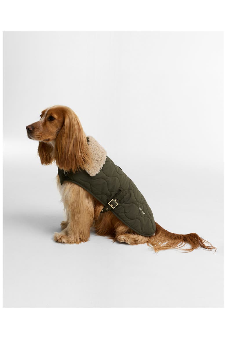 Beith Quilted Dog Coat, Alternate, color, OLIVE