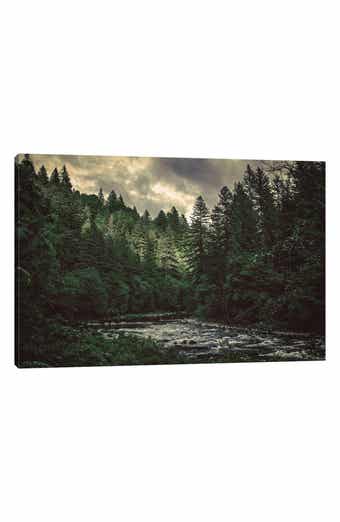 iCanvas Pacific Northwest River and Trees by Nature Magick Canvas Wall Art