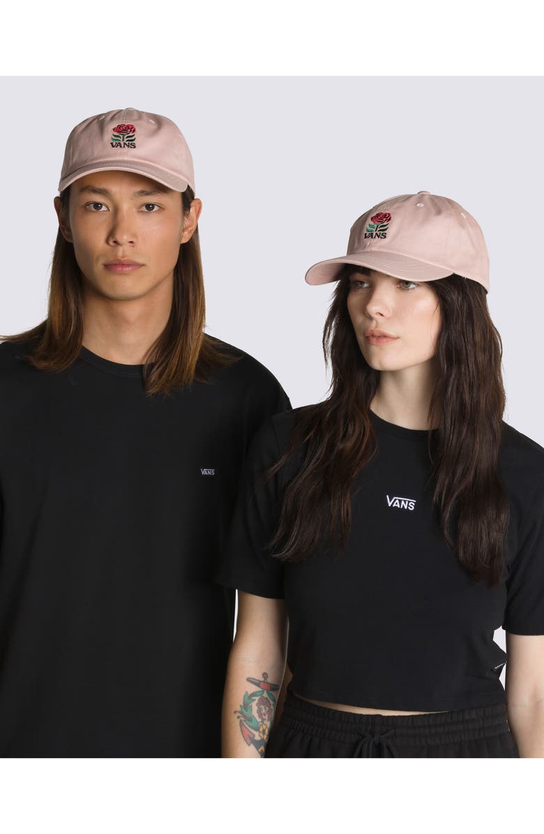 Vans Escape Embroidered Baseball Cap, Alternate, color, 