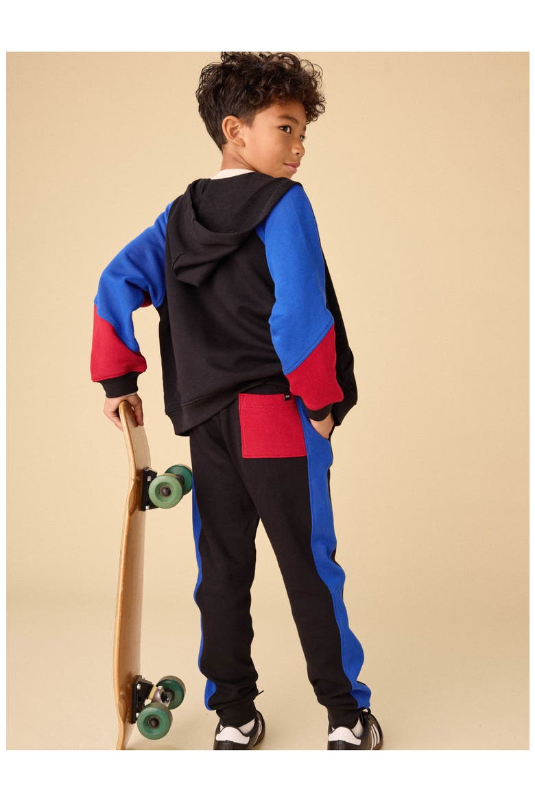 Colorblock Hoodie, Alternate, color, Jet Black