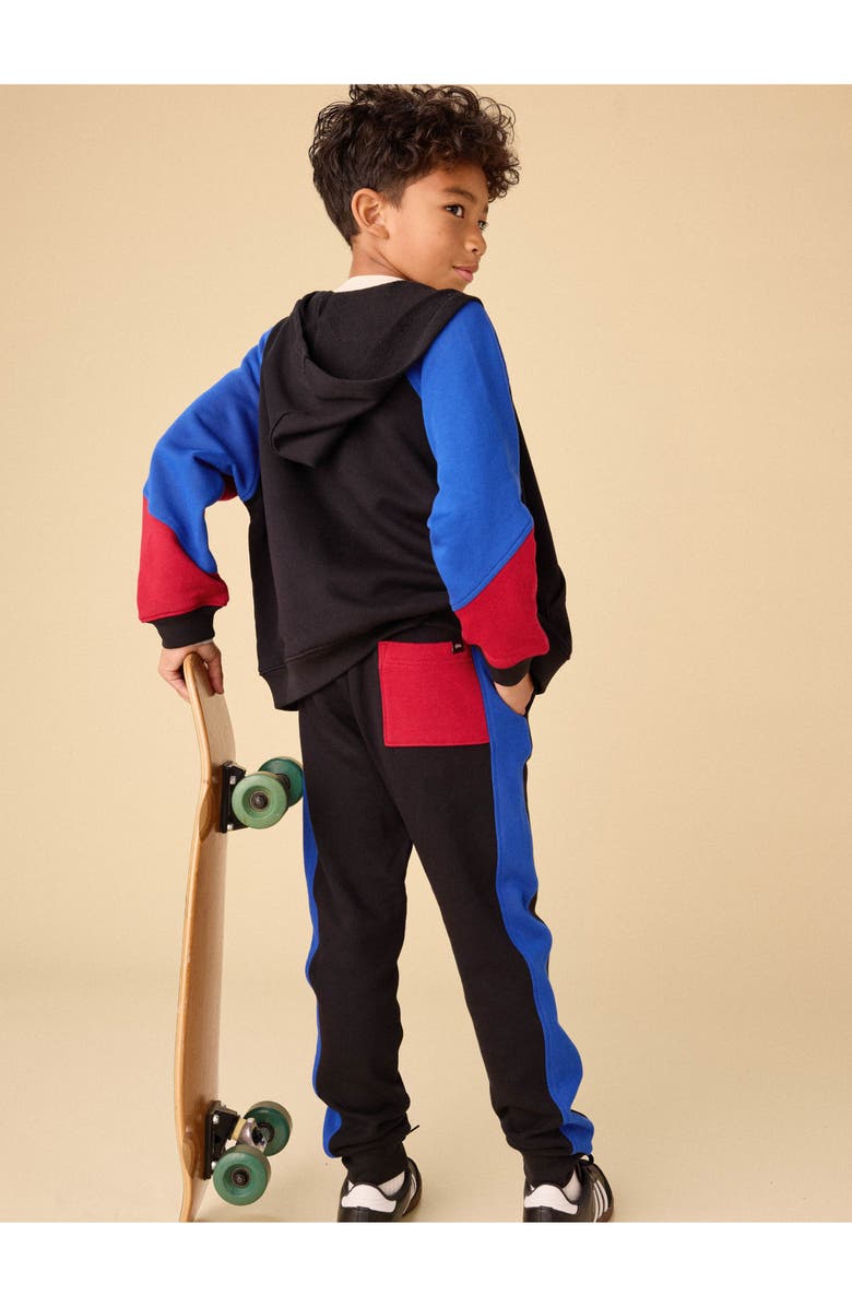 Tea Collection Colorblock Hoodie, Alternate, color, Jet Black