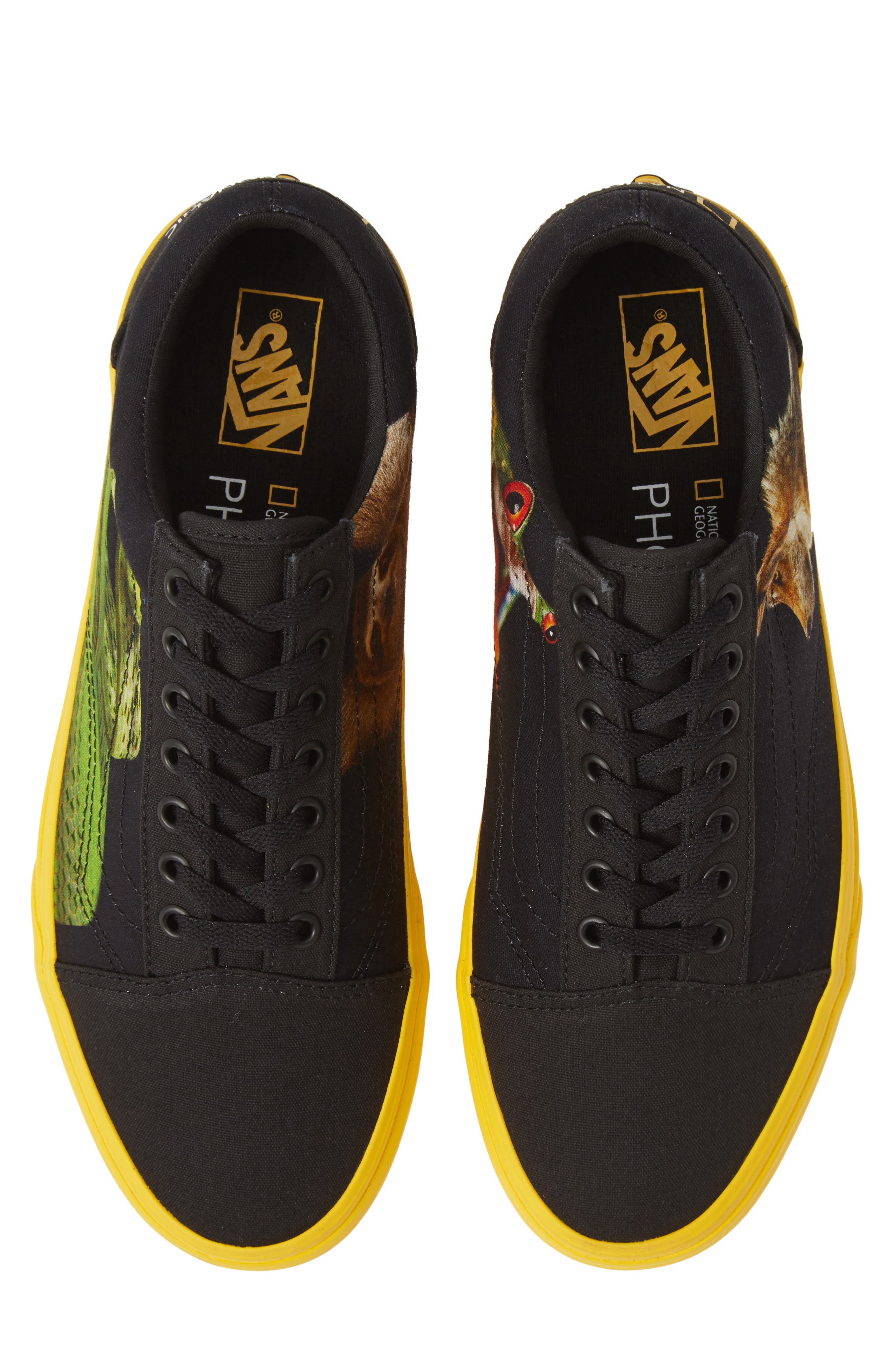 Vans x National Geographic Old Skool Sneaker, Alternate, color, 