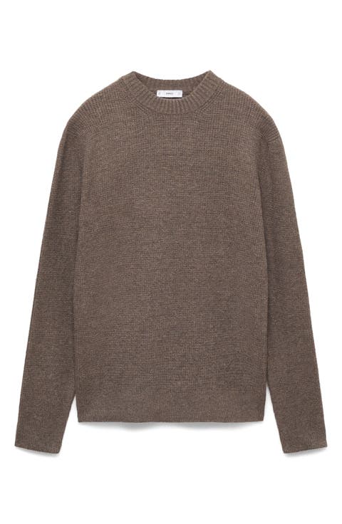 【送料&関税込】Golden  norton Brown Cotton Sweater Men's crew-neck sweater with logo on the back