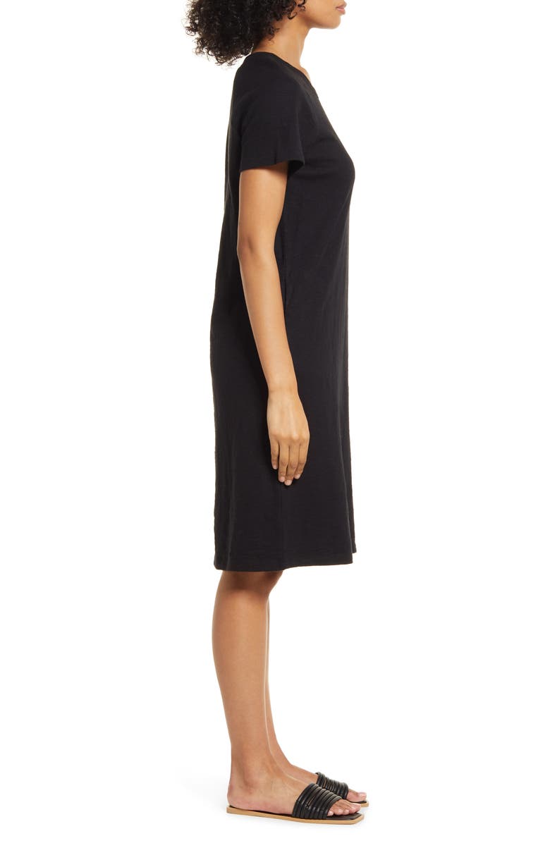 Caslon<sup>®</sup> Raglan T-Shirt Dress, Alternate, color, 