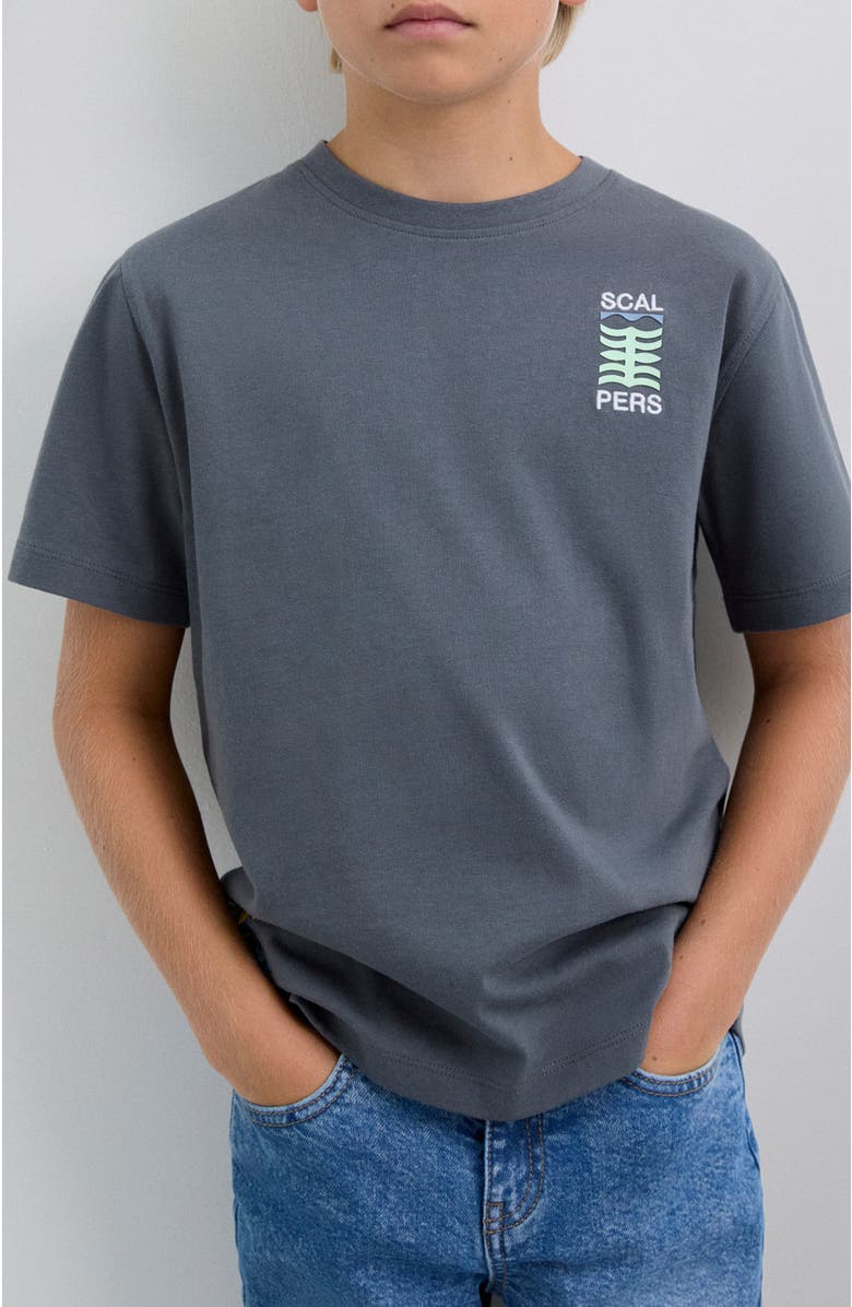 Scalpers Graphictee Kids, Alternate, color, Anthracite