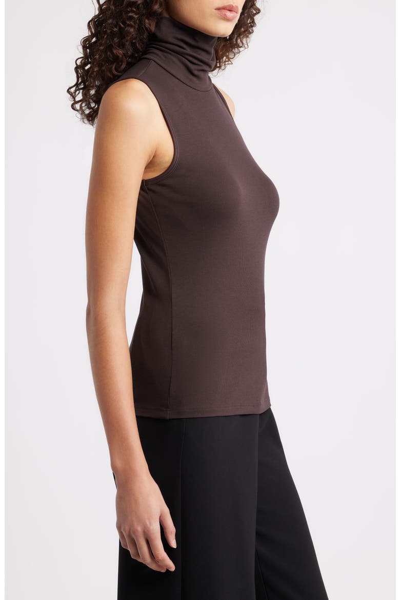 Wendel Sleeveless Turtleneck Top, Alternate, color, HICKORY - SPF