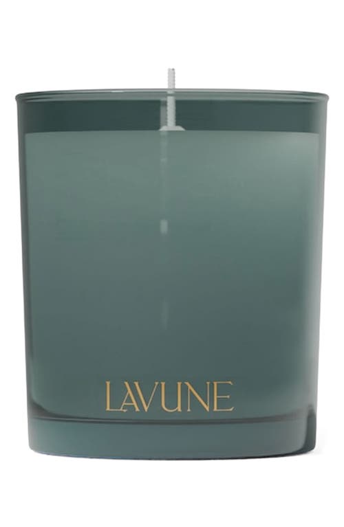 Lavune Winter Set Of 3 Votive Candles In Green