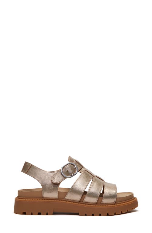 Timberland Clairemont Way Fisherman Sandal In Gold Metallic