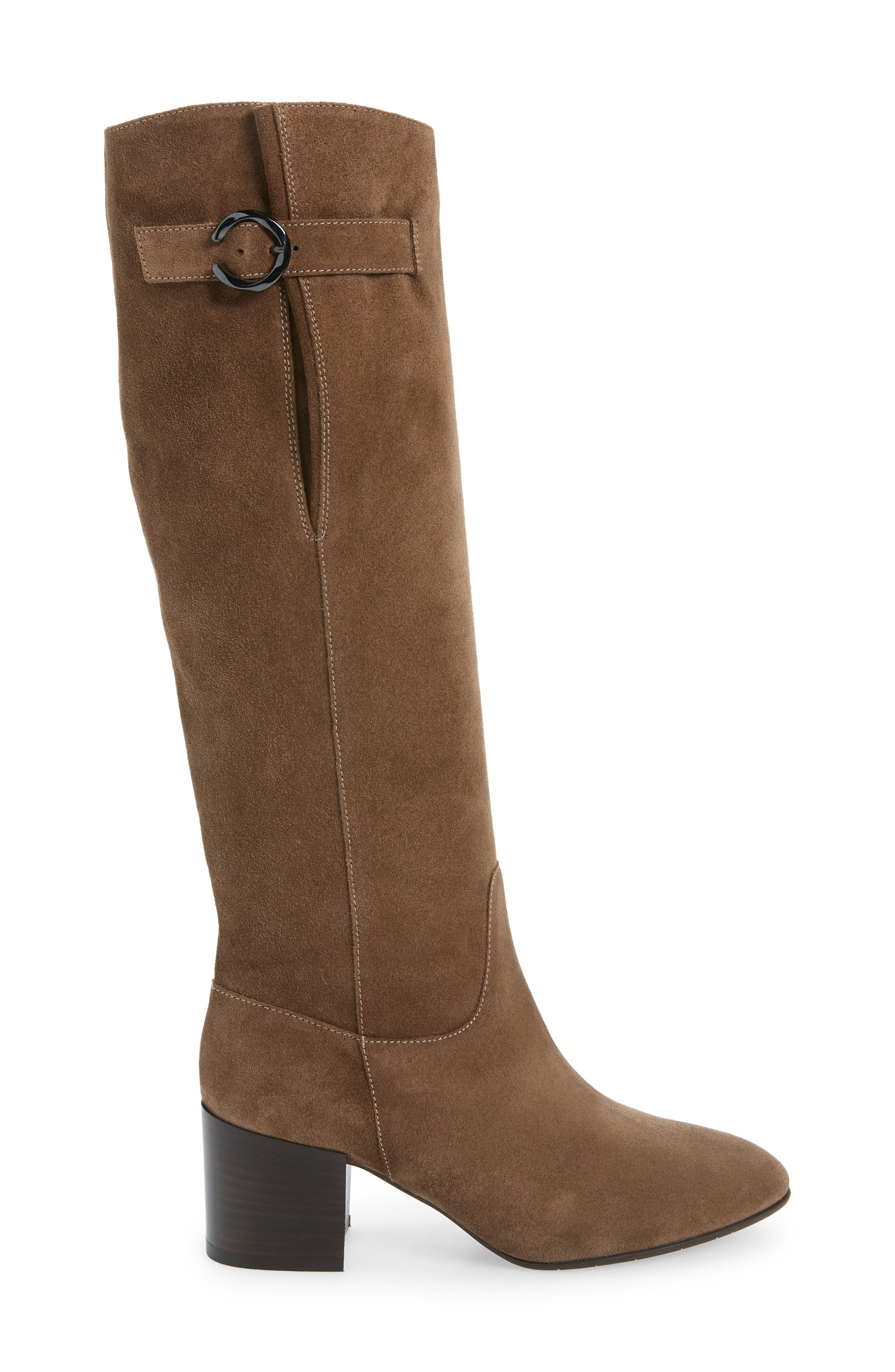 Fabrianna Water Resistant Boot, Alternate, color, TAUPE SUEDE