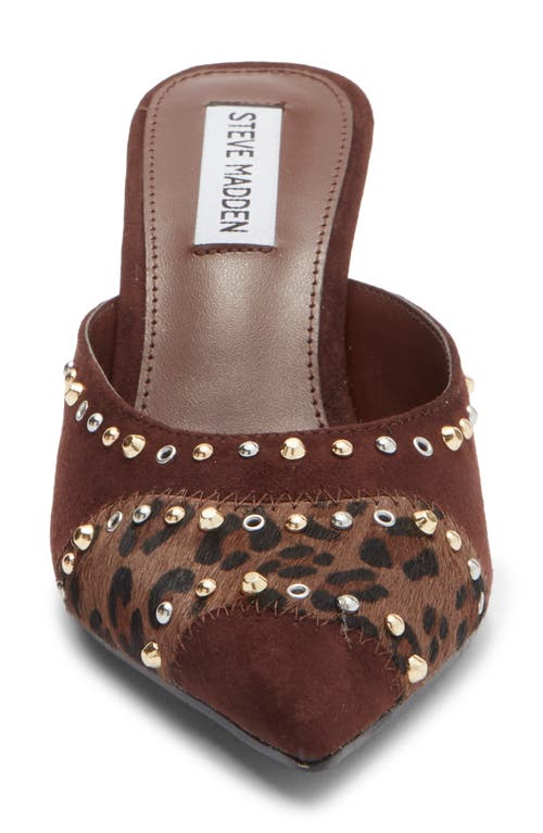 Steve Madden Elizza Pointed Toe Mule In Brown