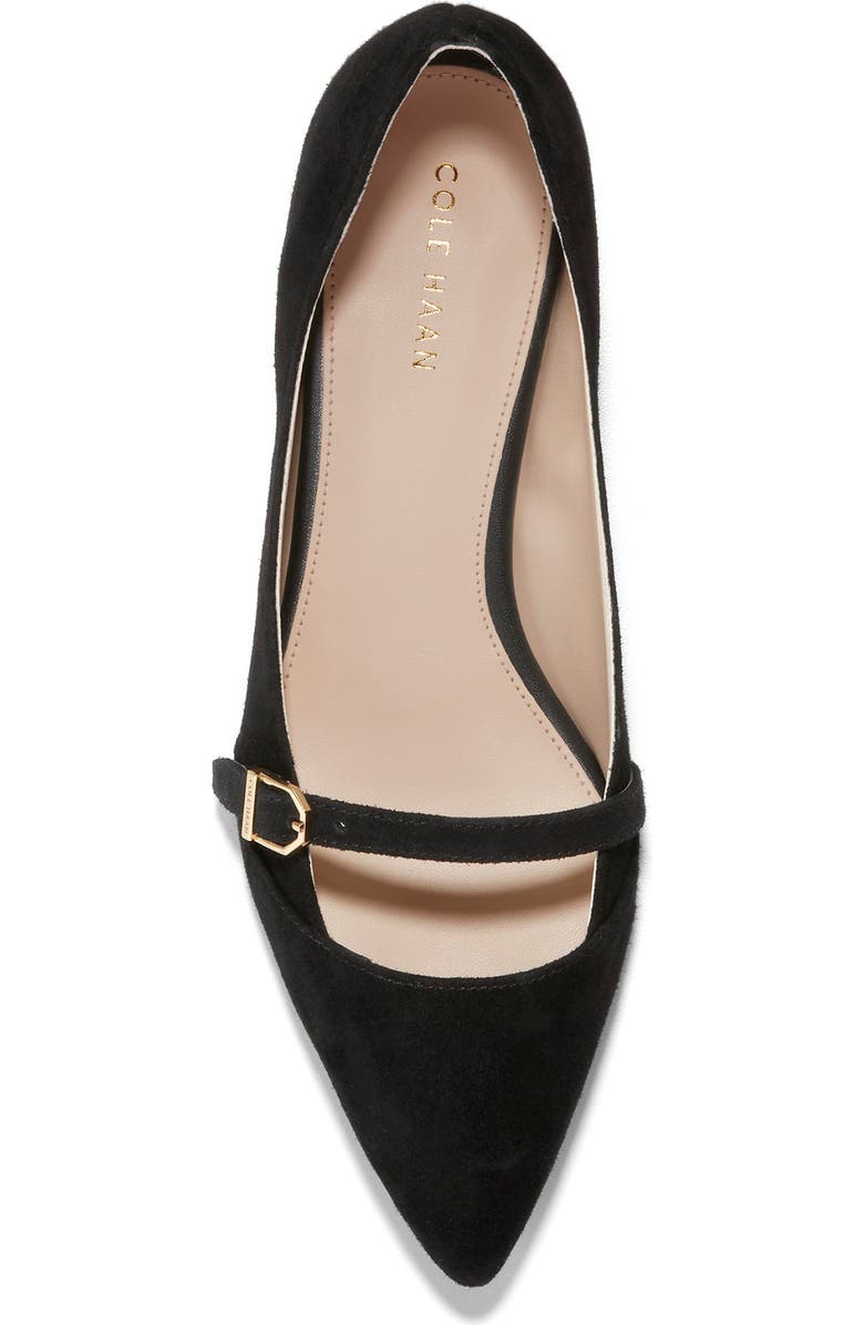 Cole Haan Avina Skimmer Flat, Alternate, color,