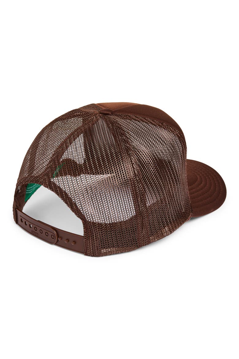 Sunshine & Sunsets Trucker Hat, Alternate, color, BROWN
