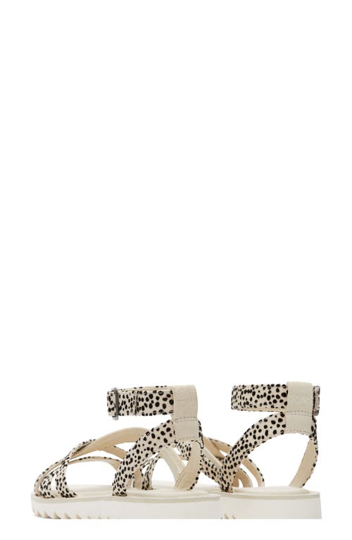 Toms Rory Ankle Strap Sandal In Natural