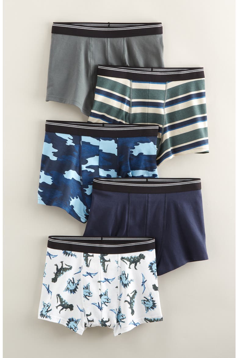 Kids' Assorted 5-Pack Boxer Briefs, Main, color, DINO CAMO PACK