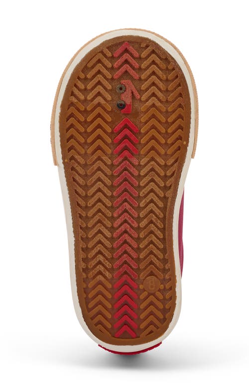 See Kai Run Kids' Stevie Ii Sneaker In Brown