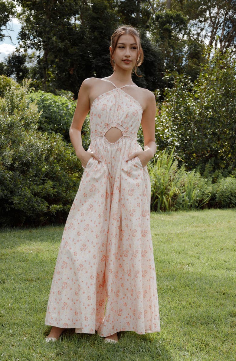 Petal & Pup Madeira Floral Cutout Halter Neck Jumpsuit, Alternate, color, Peach Ditsy Floral