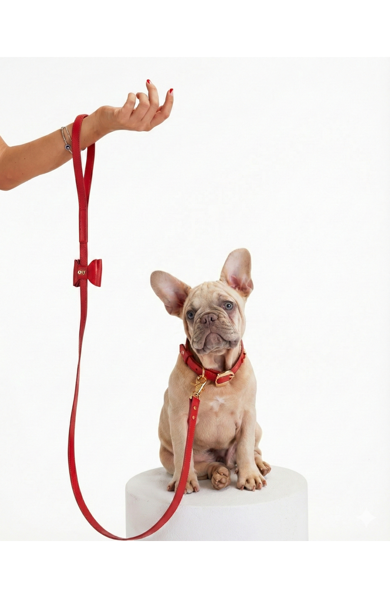 Moshiqa Bisou Dog Leash, Alternate, color, Red