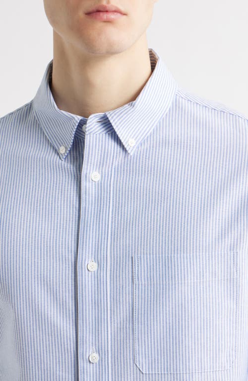 Frame Stripe Cotton Button-down Oxford Shirt In Blue Stripe