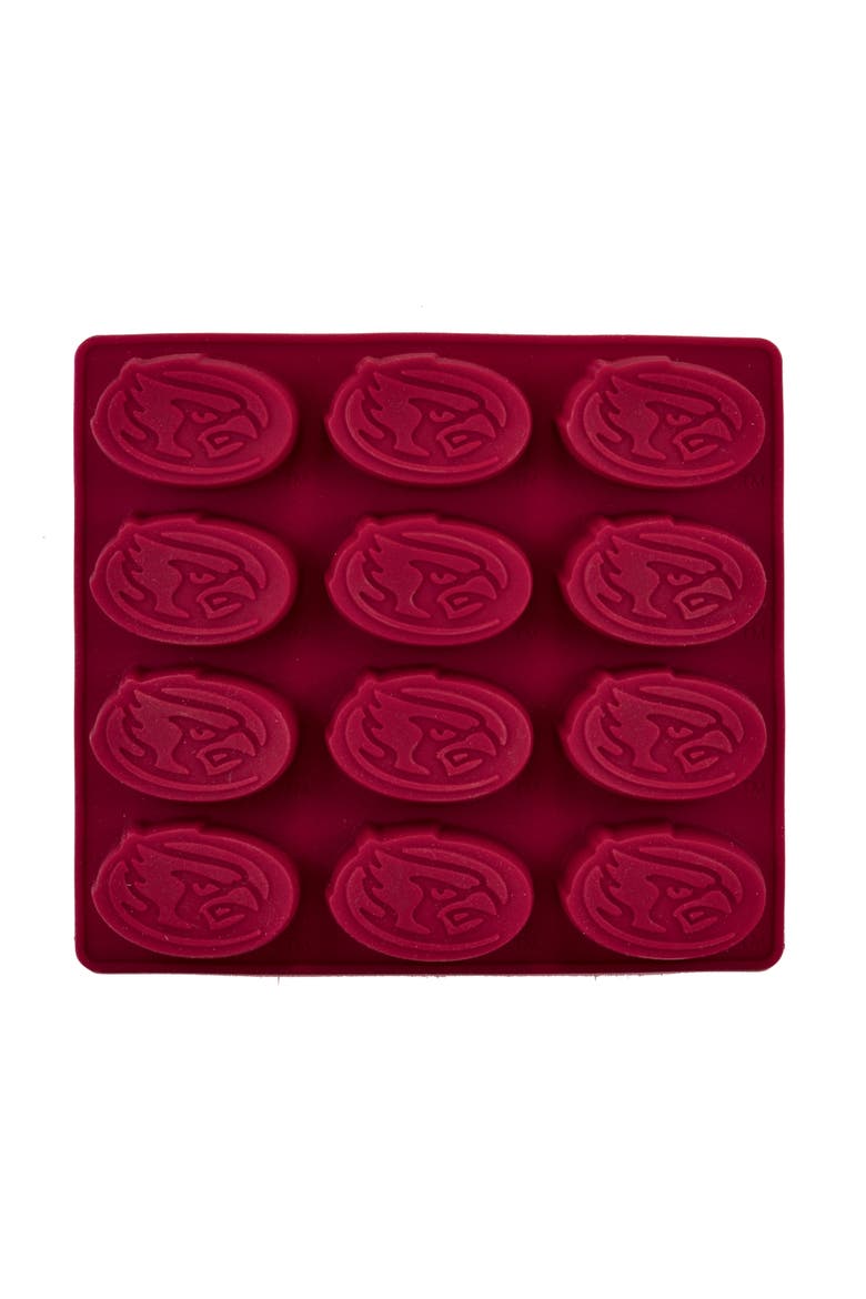 Iowa State Cyclones Ice Cube Tray, Alternate, color, Multicolor