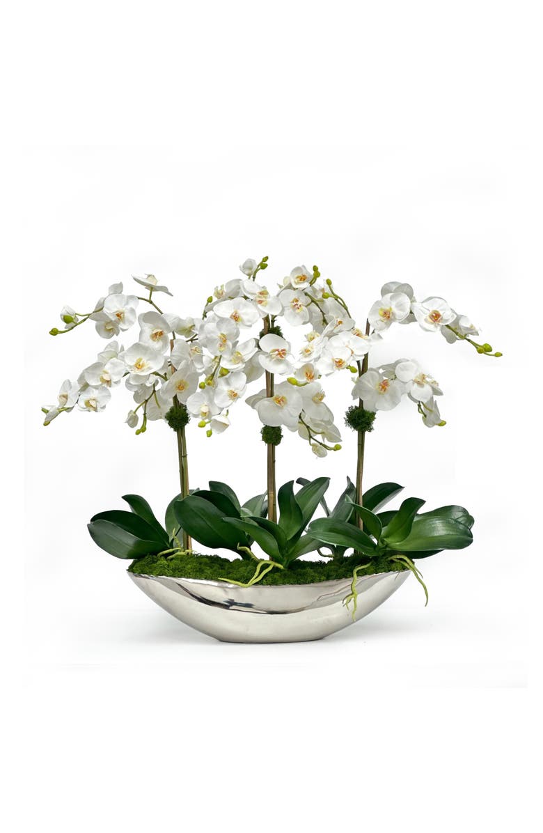 Winward Home Orchid In Vessel Container, Main, color, Two-Tone White
