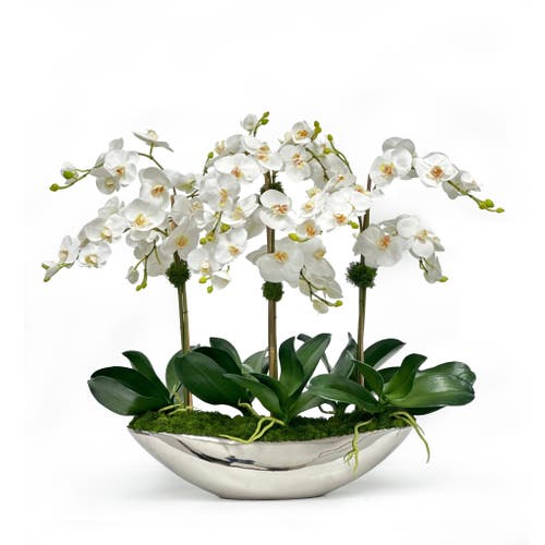 Winward Home Orchid In Vessel Container In White