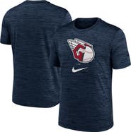 Nike Men's Nike Navy Cleveland Guardians Logo Velocity Performance T-Shirt