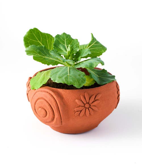 Matr Boomie Rakshana Plant Pot In Multi