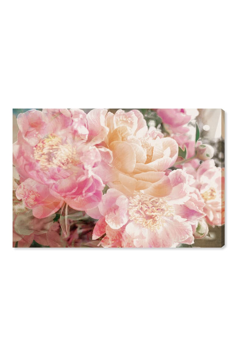 Peonies Canvas Wall Art, Main, color, PINK