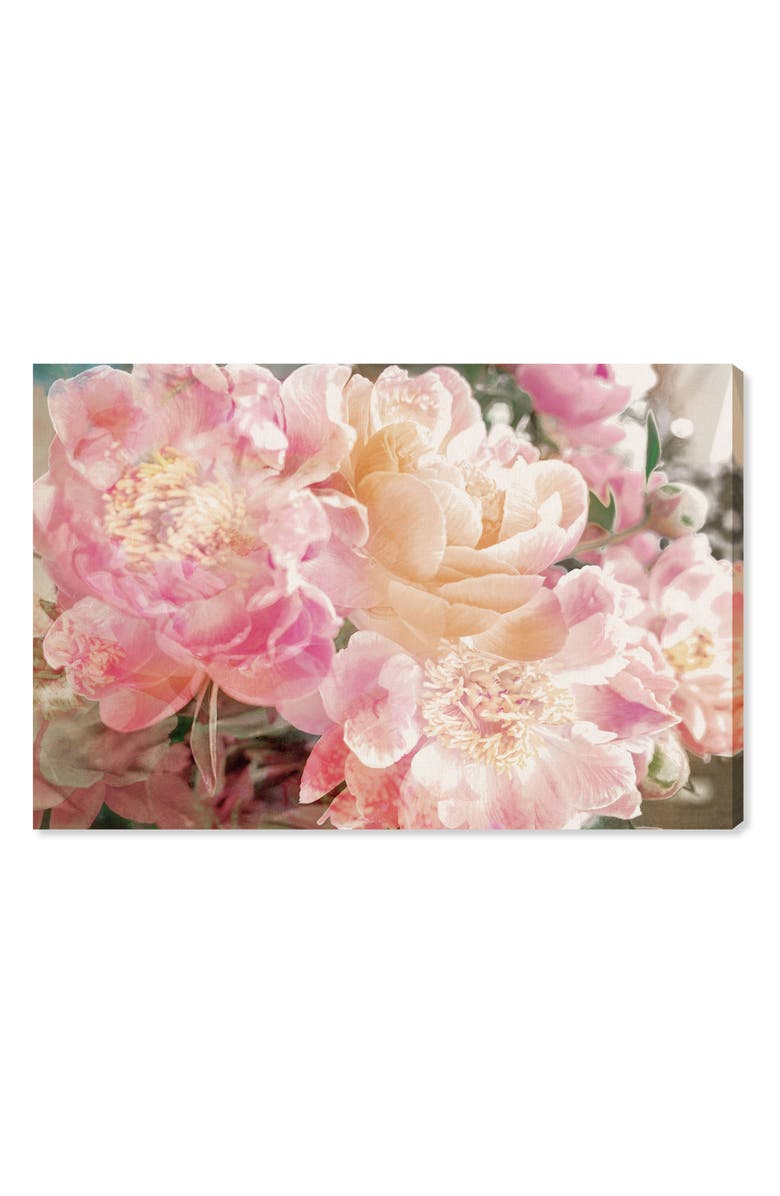 Oliver Gal Peonies Canvas Wall Art, Main, color, 