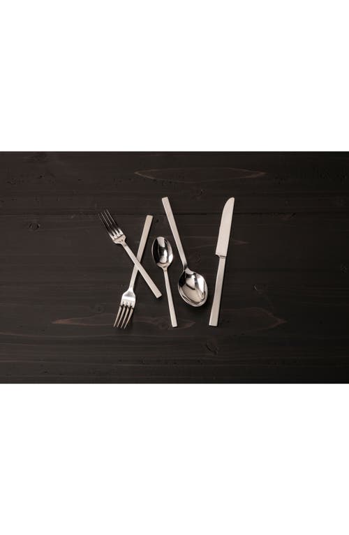 Fortessa Viggo Satin 20-piece Flatware Set In Silver