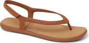 Reef Water Willow Maya Slingback Sandal