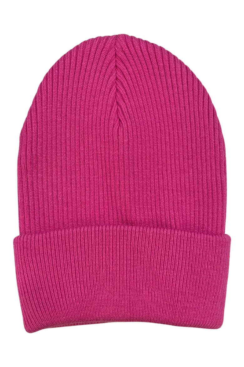 Rib Knit Cuff Beanie, Main, color, FUCHSIA