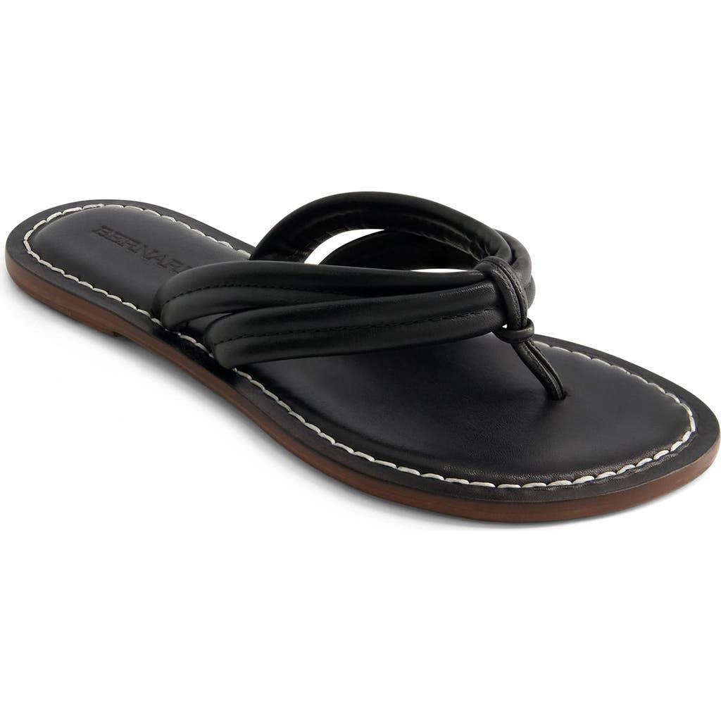 BERNARDO FOOTWEAR BERNARDO FOOTWEAR MIAMI THONG SANDAL