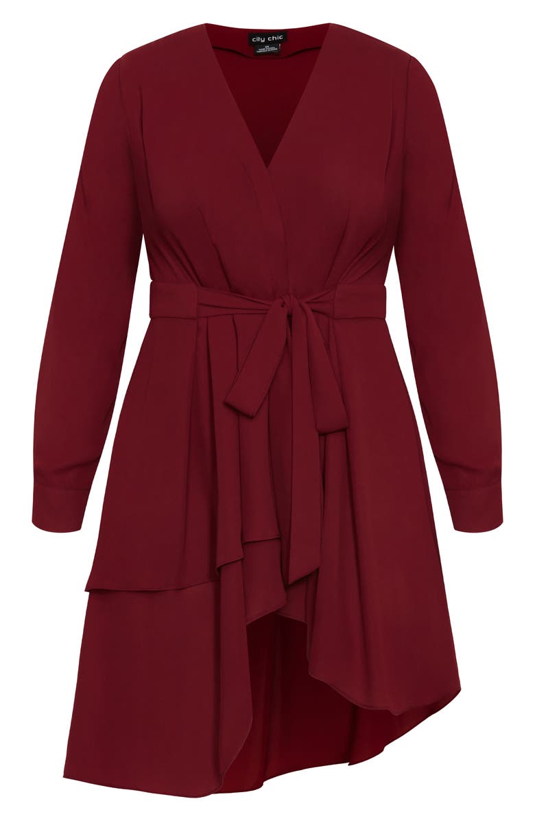 City Chic Sibara Long Sleeve Tunic Top, Alternate, color, 