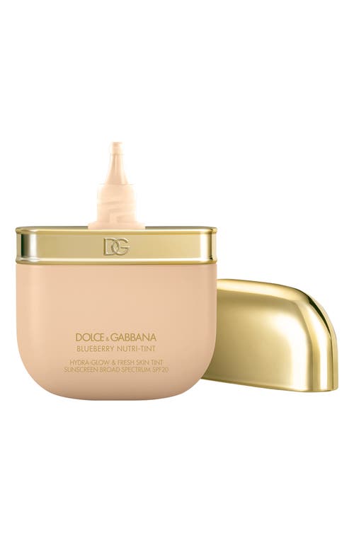 Dolce & Gabbana Dolce&gabbana The Blueberry Nutri-tint Skin Tint