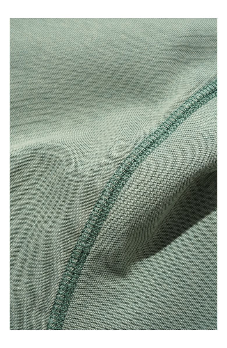 Butter Goods Alpine Logo T-Shirt, Alternate, color, Dull Mint