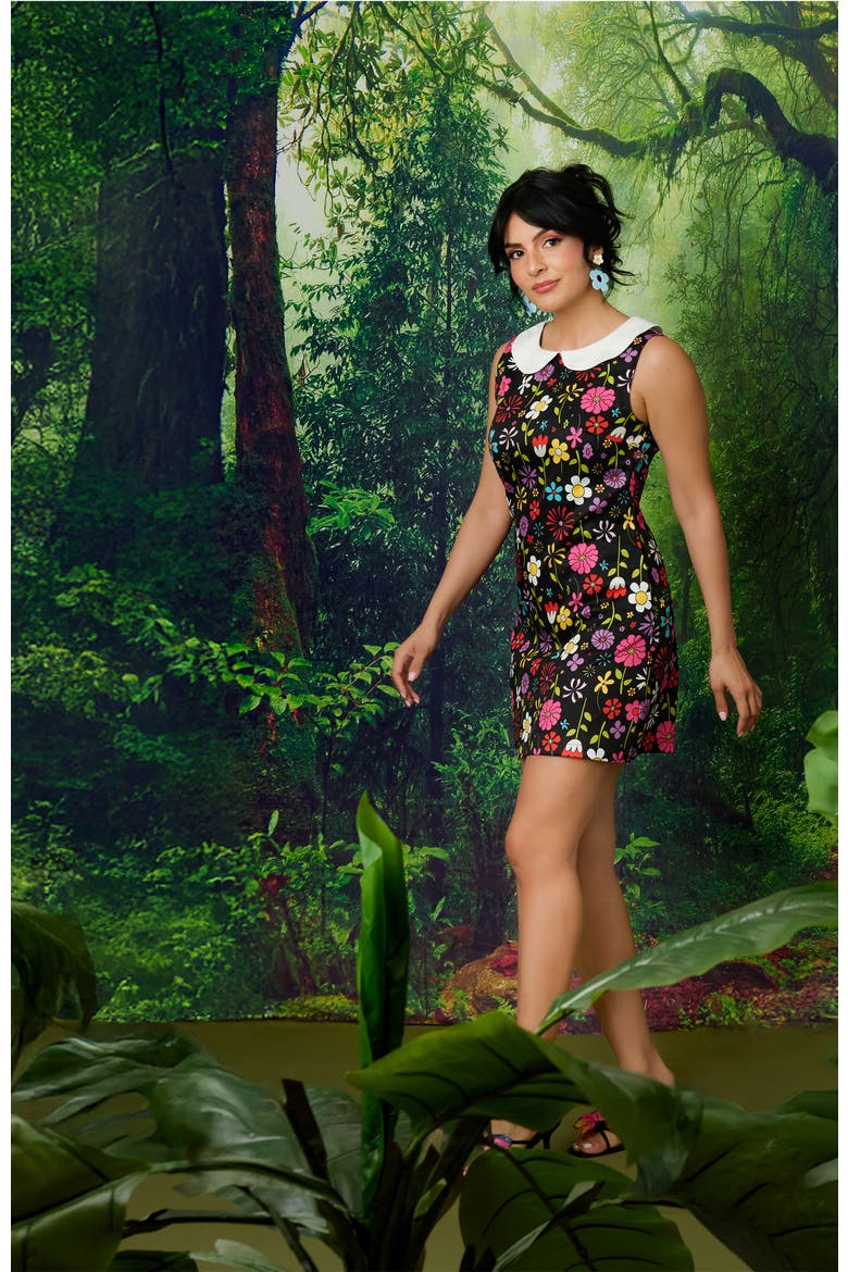 Peter Pan Collar Tie Neck Shift Dress, Alternate, color, Black Floral Print