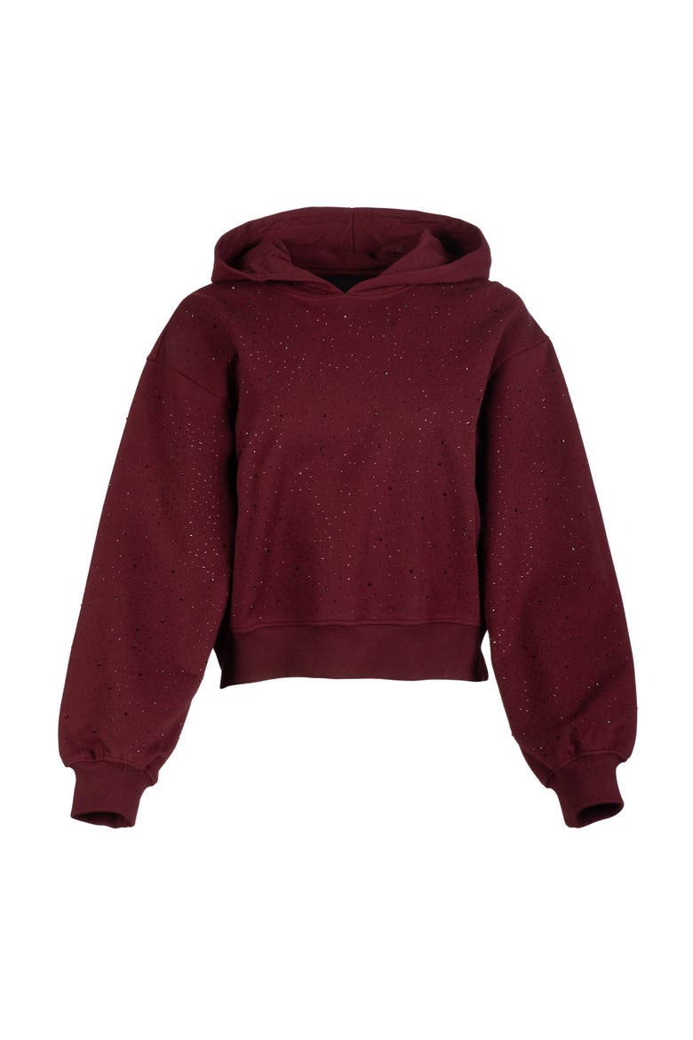 Renae Compact Crystal Hoodie, Alternate, color, Red