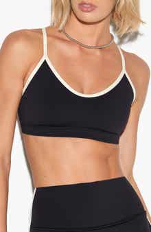 Spiritual Gangster Horizon Sports Bra