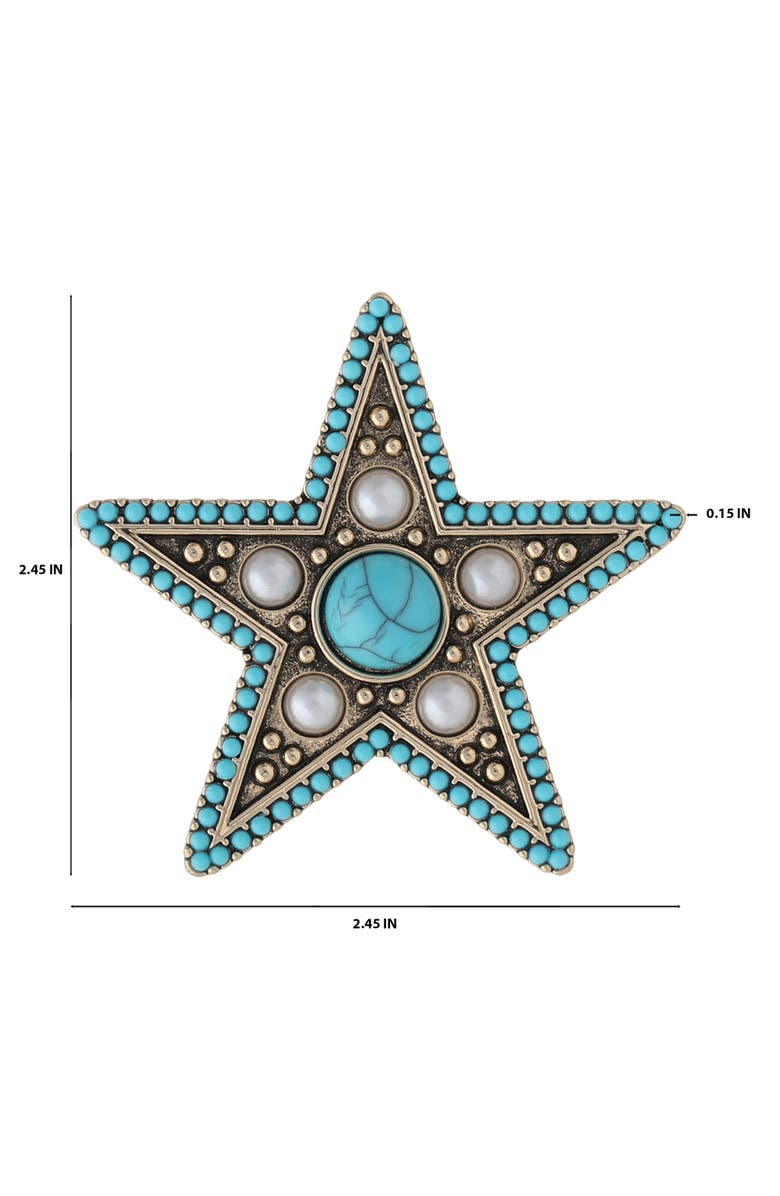 Jessica Simpson Turquoise Star Pin with Crystal Accents, Alternate, color, Turquoise
