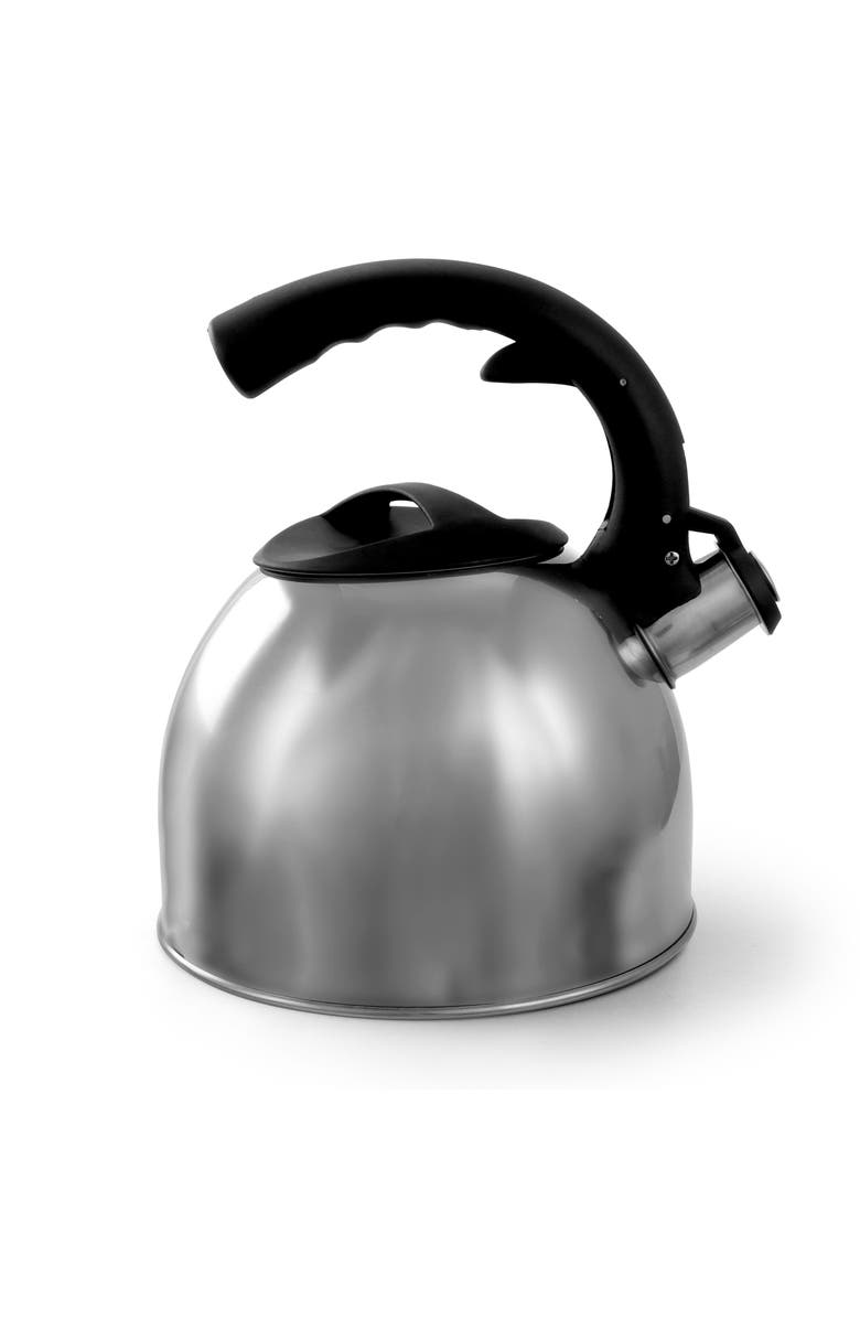 MR COFFEE Steamline 2 Quart Tea Kettle, Alternate, color, Metallic Silver