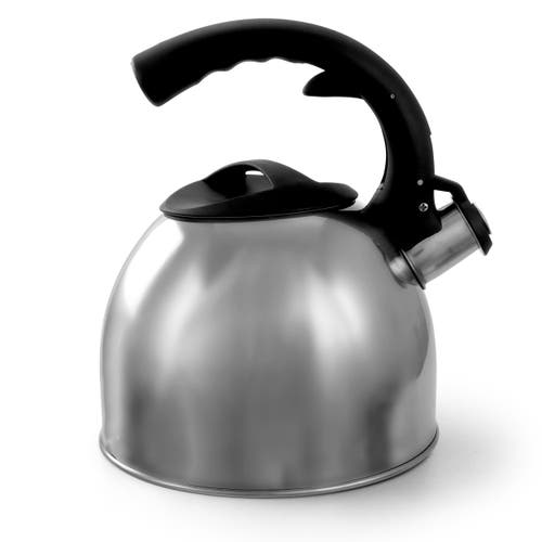 Mr Coffee Steamline 2 Quart Tea Kettle In Silver