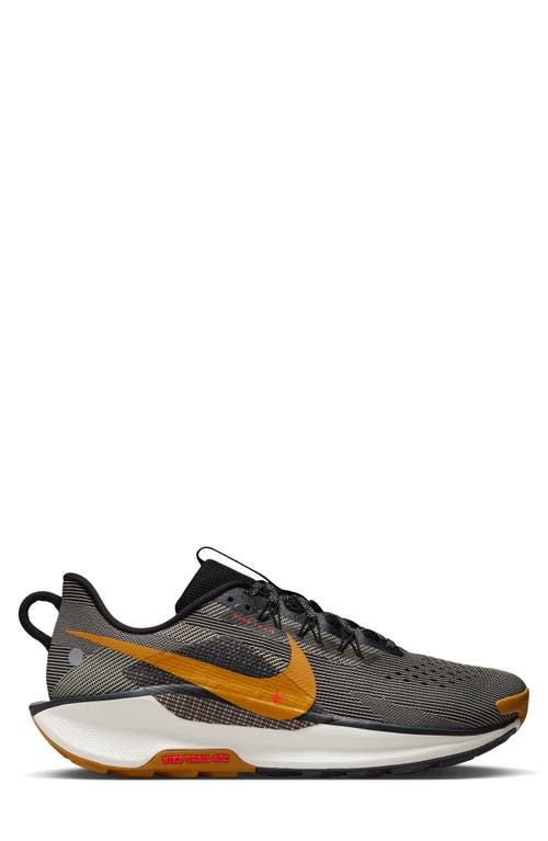 Nike Reactx Pegasus Trail 5 Running Shoe In Multi