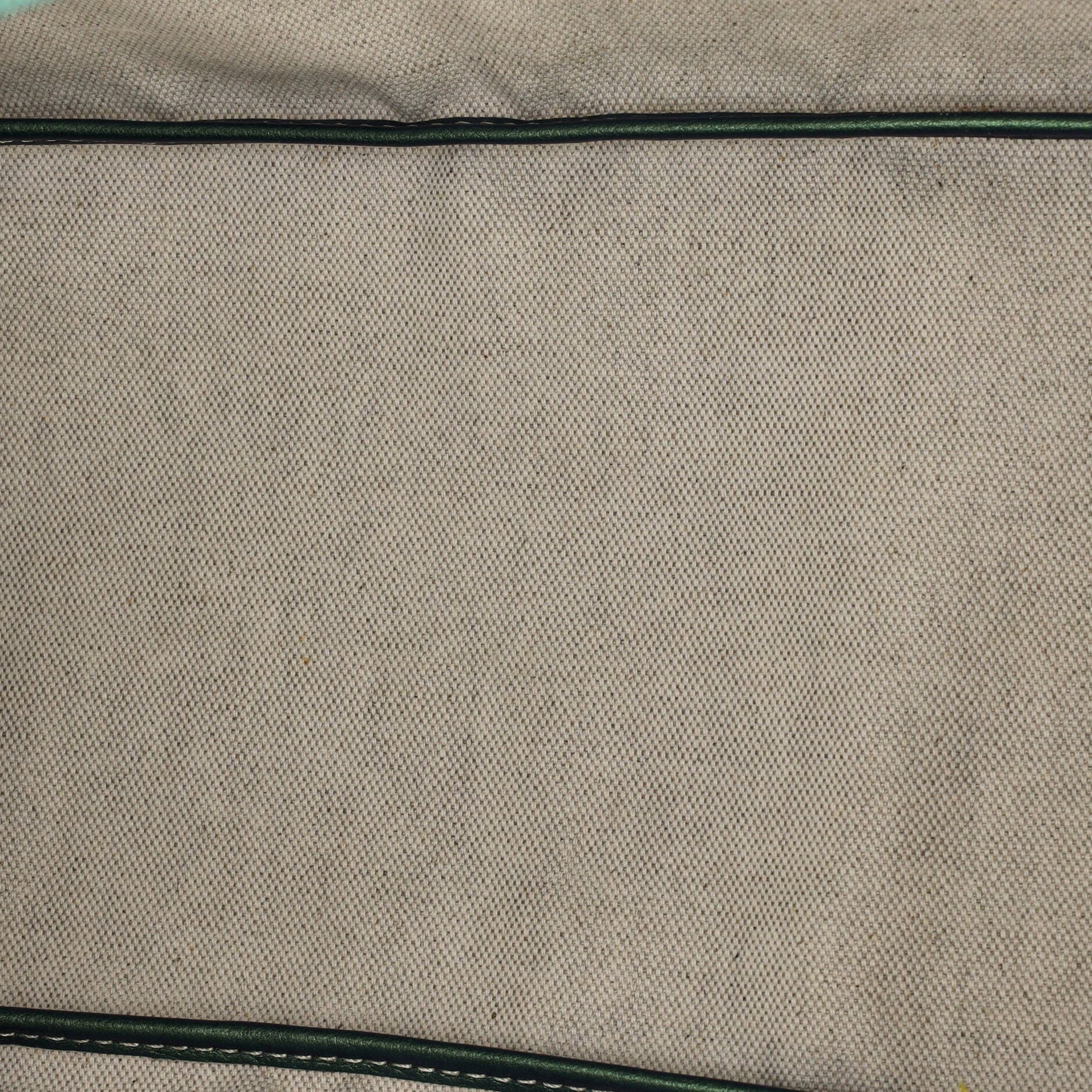 Pre-Owned Goyard Saint Louis Tote Iridescent Coated Canvas PM, Alternate, color, Green