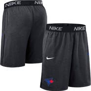 Nike Men's Nike  Black Toronto Blue Jays Authentic Collection City Connect Performance Knit Shorts