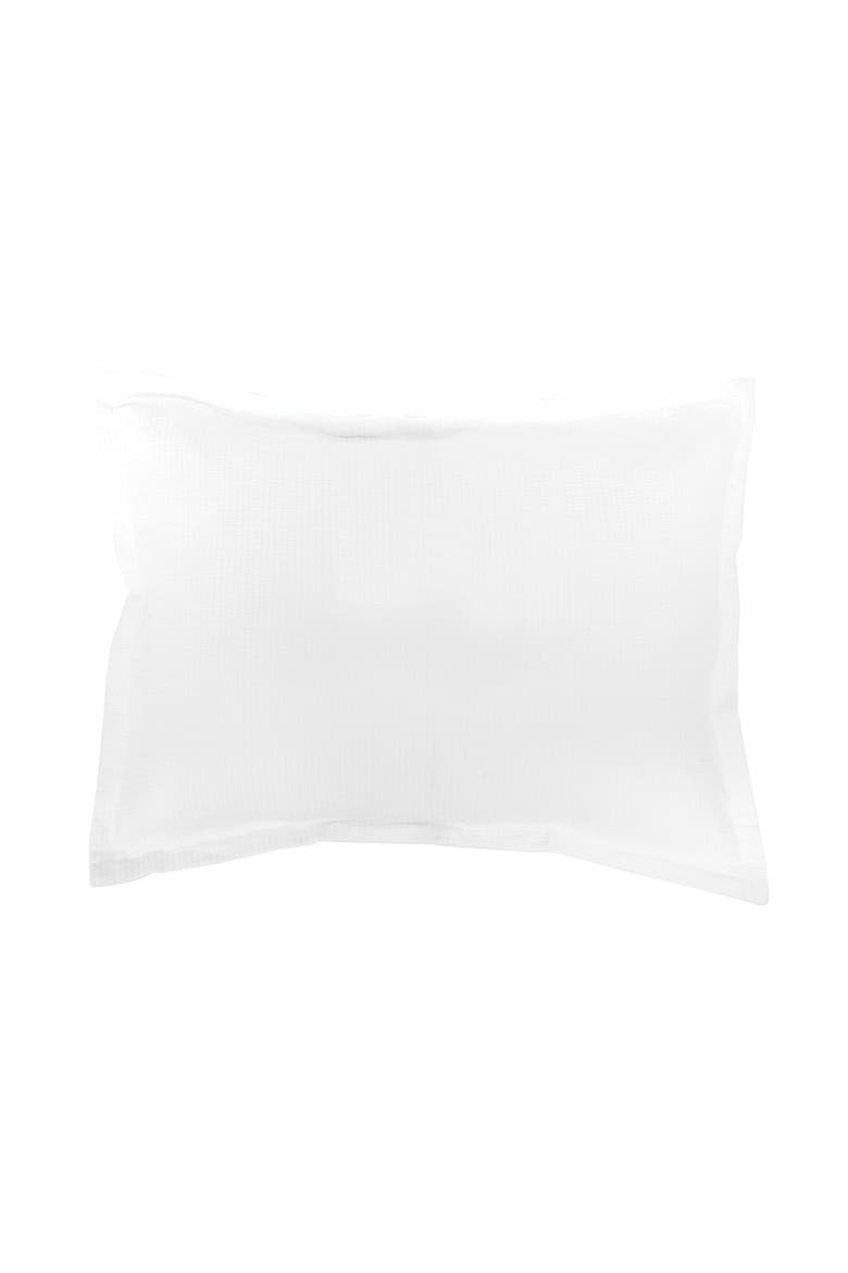 Delfina White Cotton Standard Sham 20" x 26", Main, color, White