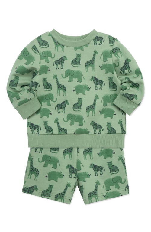 Little Me Baby Boys Safari Cotton Active Sweatshirt & Shorts, 2 Piece Set In Green