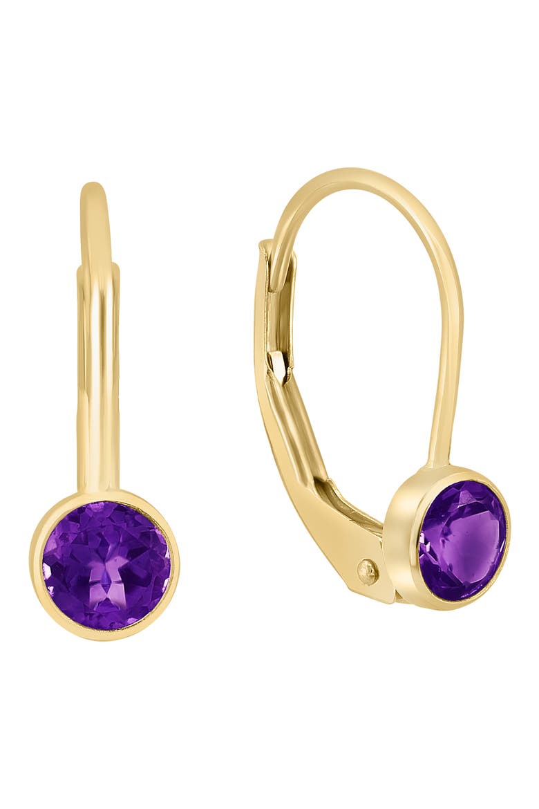 Amethyst Drop Earrings, Main, color, PURPLE